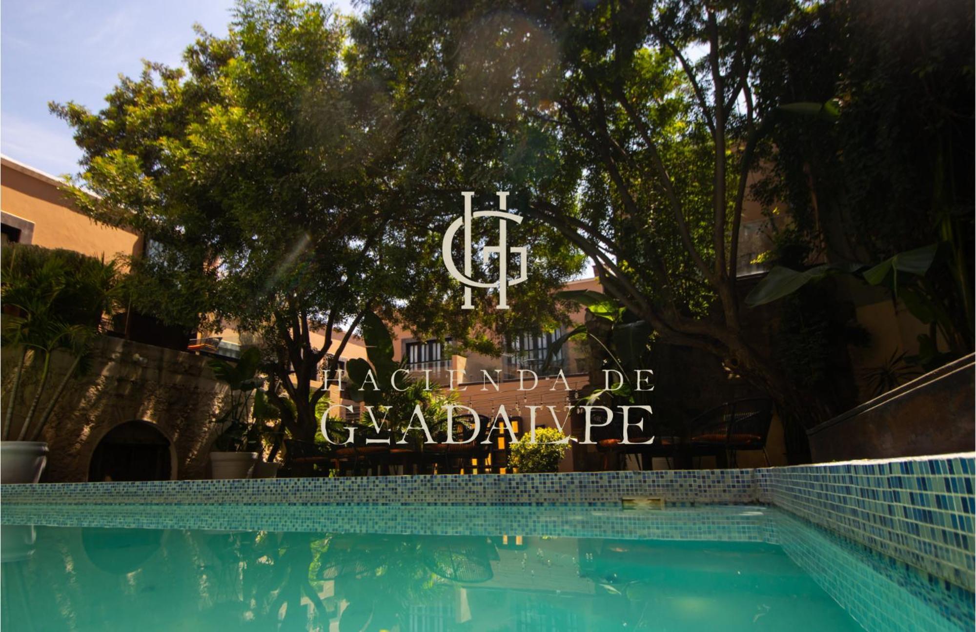 Hotel Boutique Hacienda Guadalupe Альенде Экстерьер фото